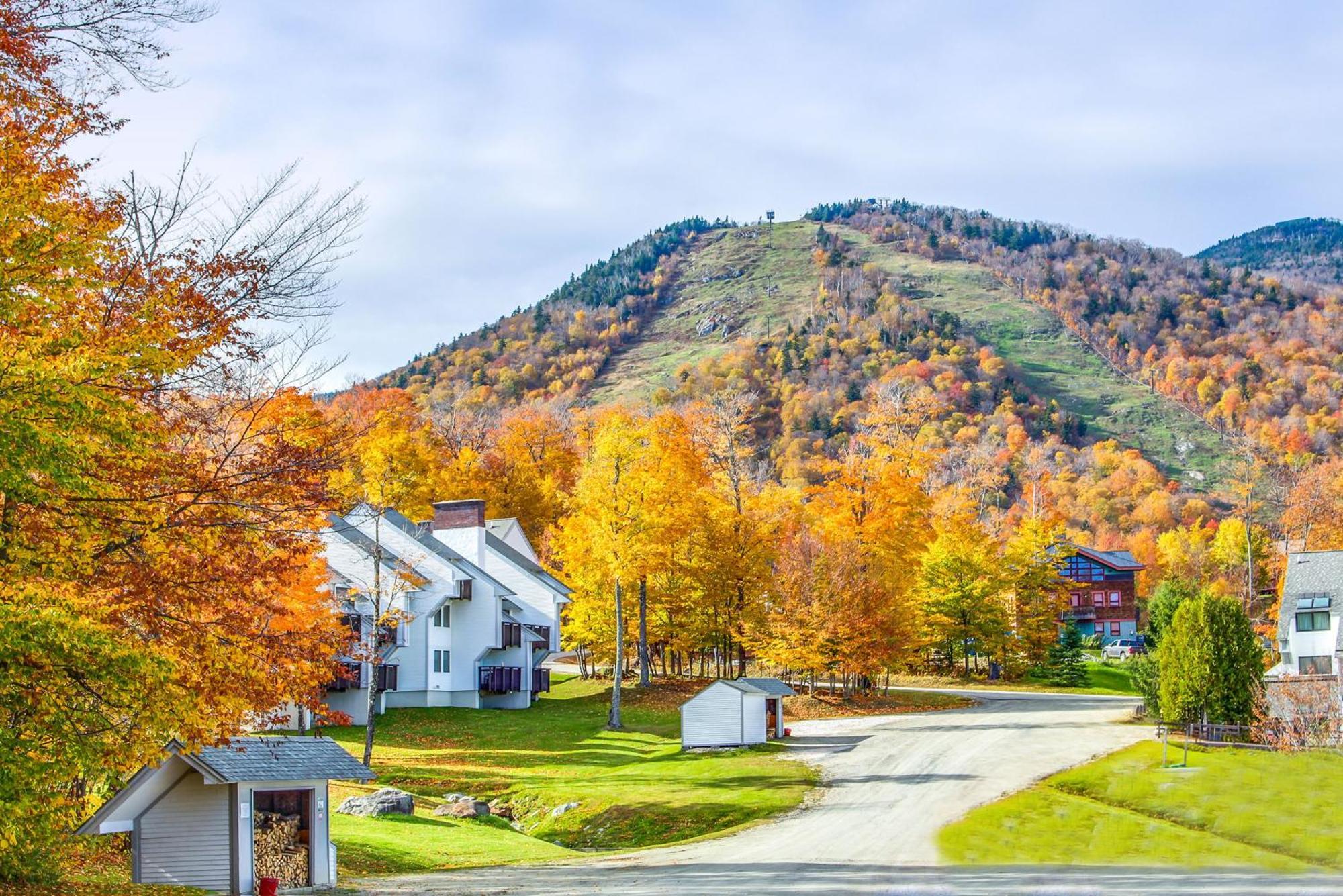 Sunrise Village Killington Bilik gambar