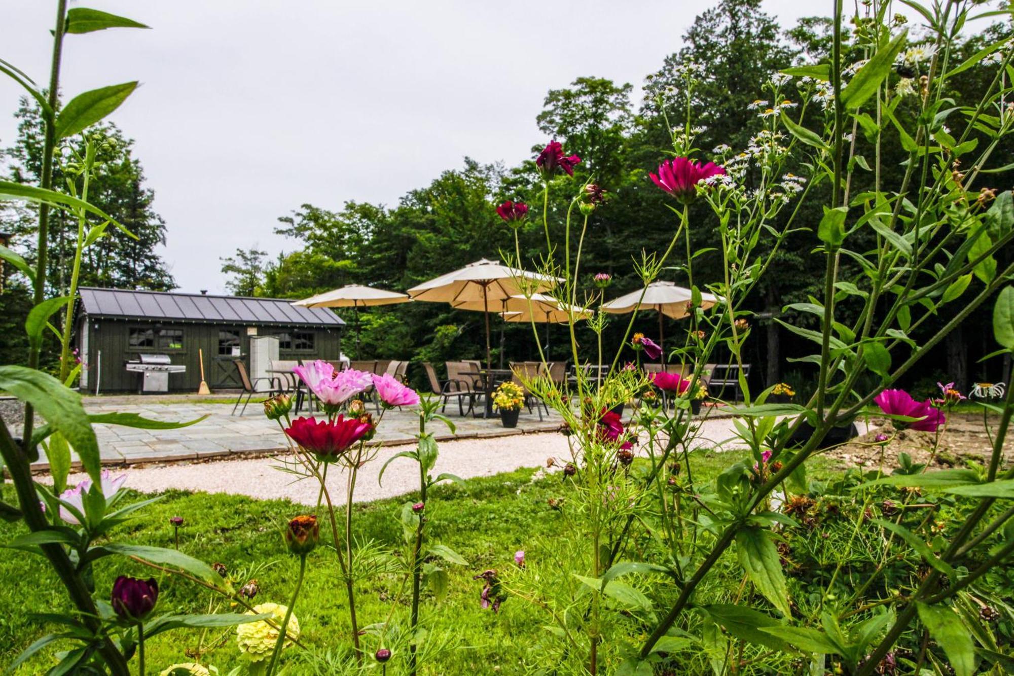 Sunrise Village Killington Bilik gambar